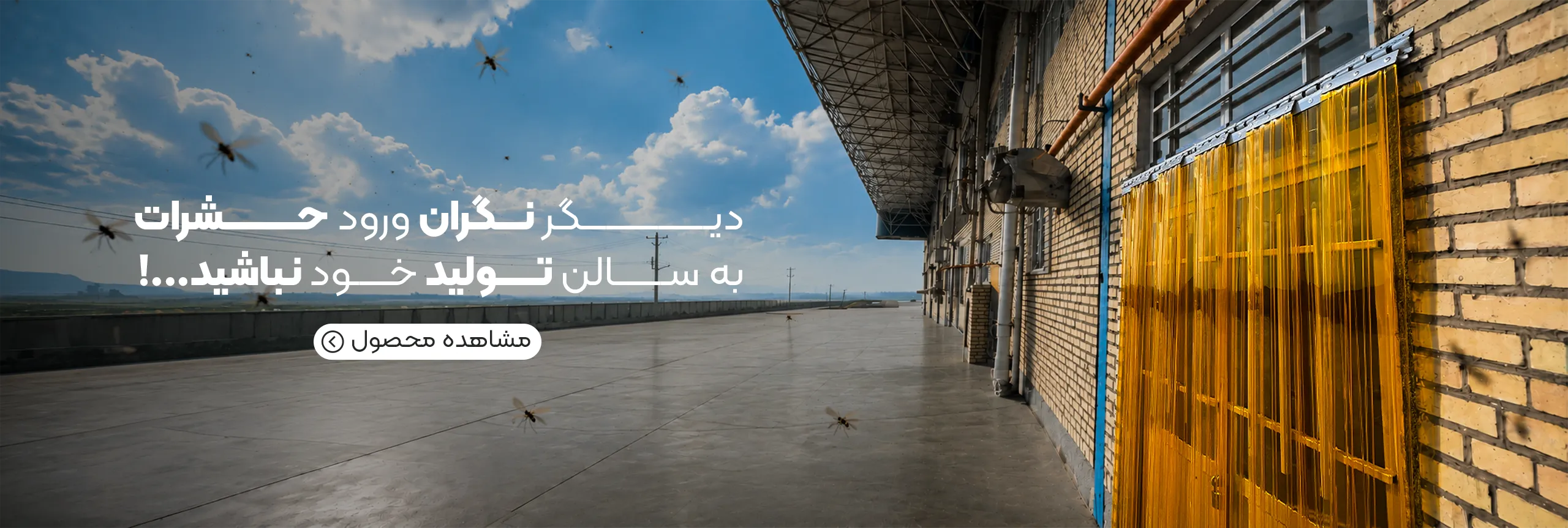 ضد حشره